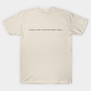 I should be studying right now T-Shirt